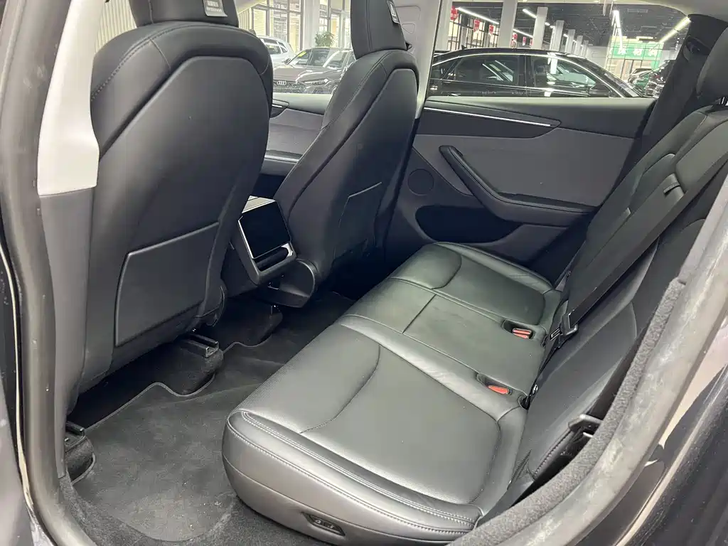 Tesla Model Y 2025 Rear-Wheel Drive Launch Edition 2025 - thumbnail 15