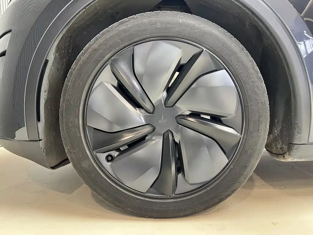Tesla Model Y 2025 Rear-Wheel Drive Launch Edition 2025 - thumbnail 16