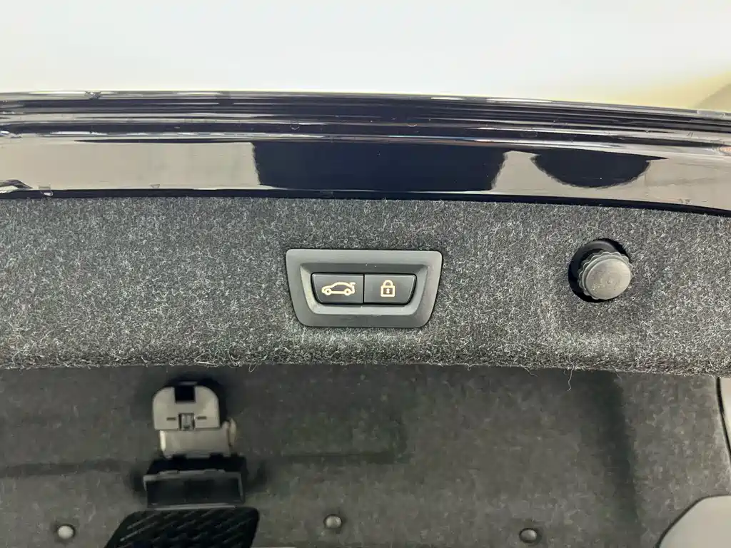 BMW BMW 5 Series Hybrid 2020 Model Mileage Upgrade Edition 530Le Pioneer Edition 2020 - thumbnail 8