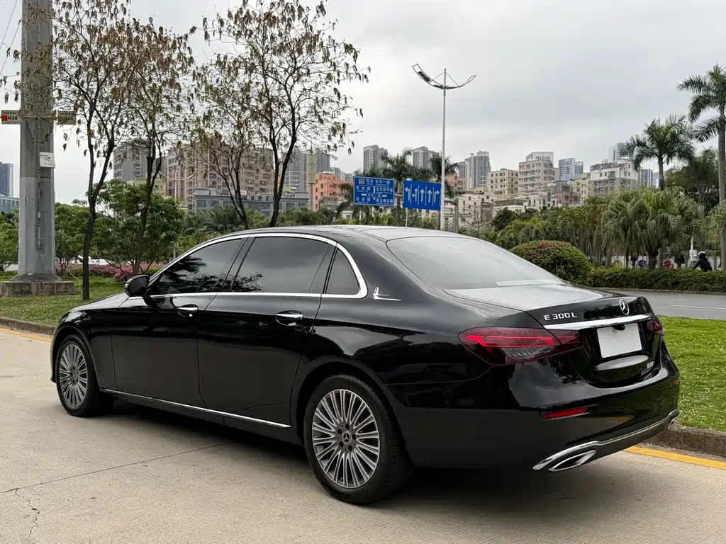 Mercedes-Benz Mercedes-Benz E-Class 2023 E 300 L Luxury 2023 - thumbnail 6