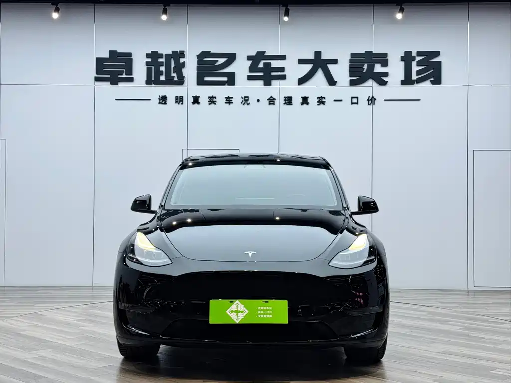 Tesla Model Y 2021 Long Range All-Wheel Drive 3D7 2021 - thumbnail 2