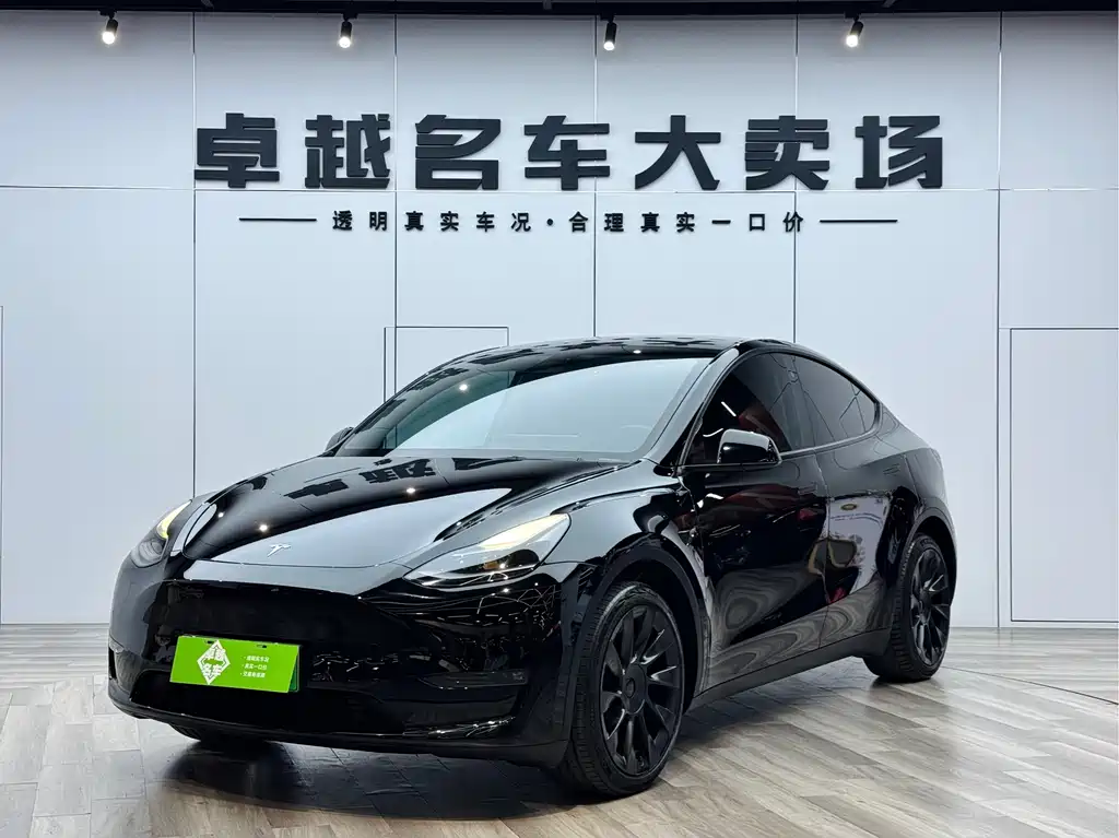 Tesla Model Y 2021 Long Range All-Wheel Drive 3D7 2021 - thumbnail 3
