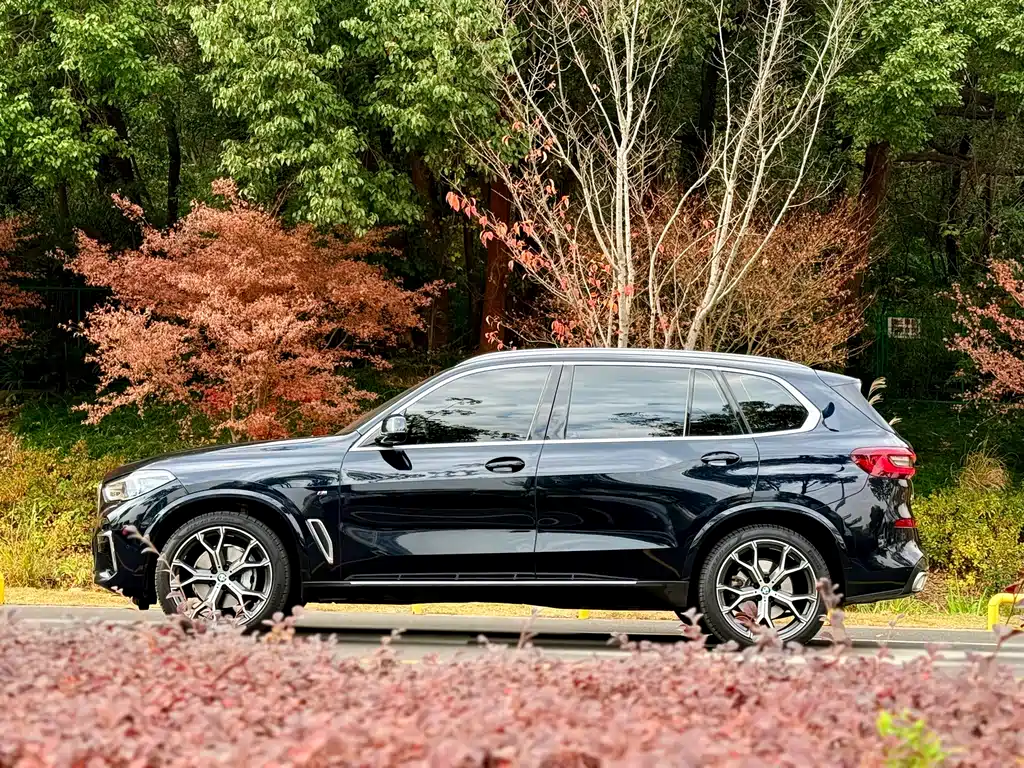 BMW BMW X5 2022 Model Year Facelift xDrive 40Li M Sport Package 2023 - thumbnail 6