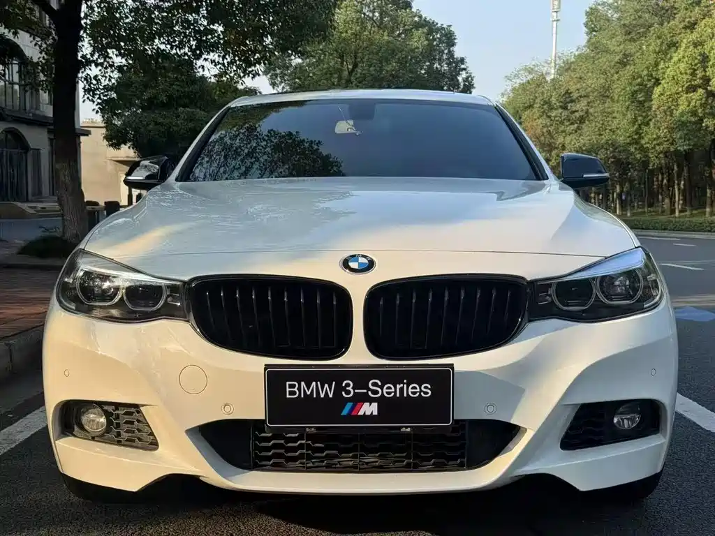 BMW BMW 3 Series GT 2019 320i M Sport 2019 - thumbnail 2