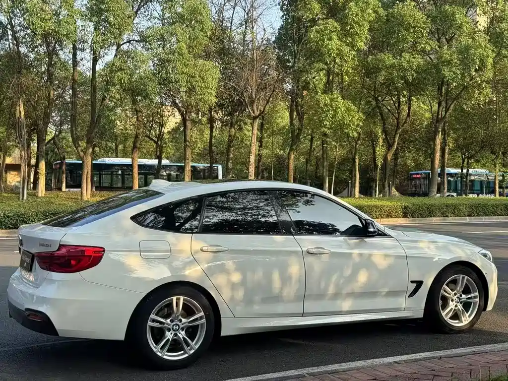 BMW BMW 3 Series GT 2019 320i M Sport 2019 - thumbnail 8