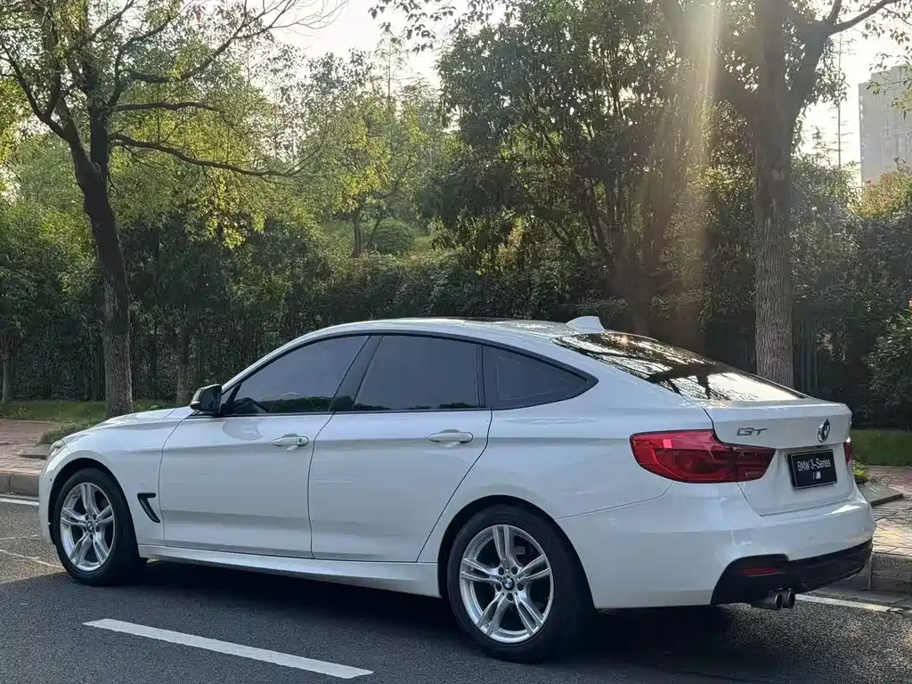 BMW BMW 3 Series GT 2019 320i M Sport 2019 - thumbnail 10