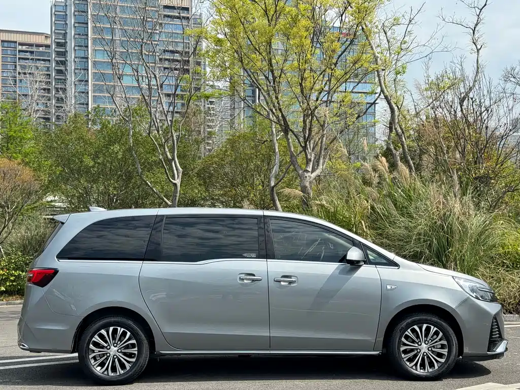 Buick Buick GL8 2023 Land Business Class 652T Luxury Edition 2024 - thumbnail 24