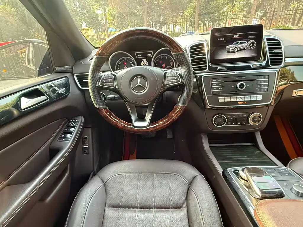Mercedes-Benz Mercedes-Benz GLS 2017 GLS 450 4MATIC 2017 - thumbnail 16