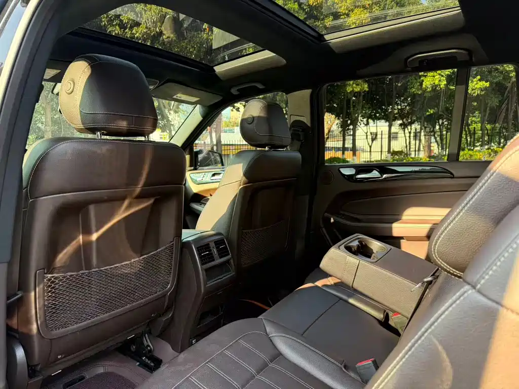 Mercedes-Benz Mercedes-Benz GLS 2017 GLS 450 4MATIC 2017 - thumbnail 25