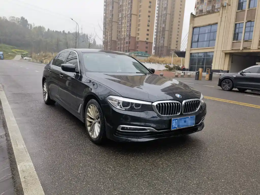 BMW BMW 5 Series 2019 525Li Luxury Package 2019