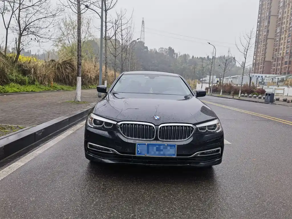 BMW BMW 5 Series 2019 525Li Luxury Package 2019 - thumbnail 2