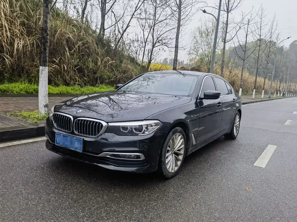 BMW BMW 5 Series 2019 525Li Luxury Package 2019 - thumbnail 3