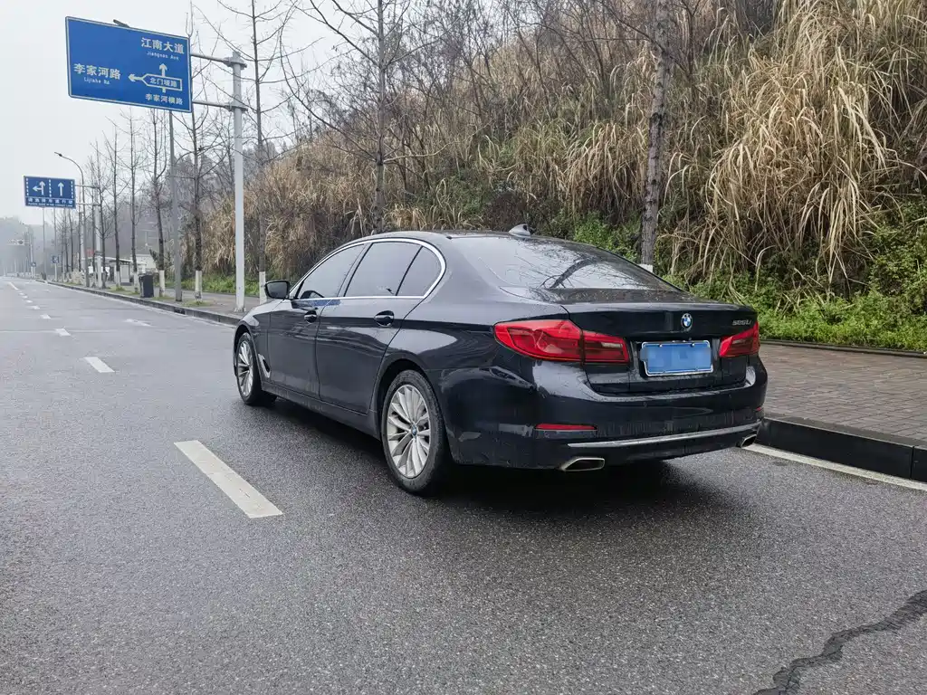 BMW BMW 5 Series 2019 525Li Luxury Package 2019 - thumbnail 9