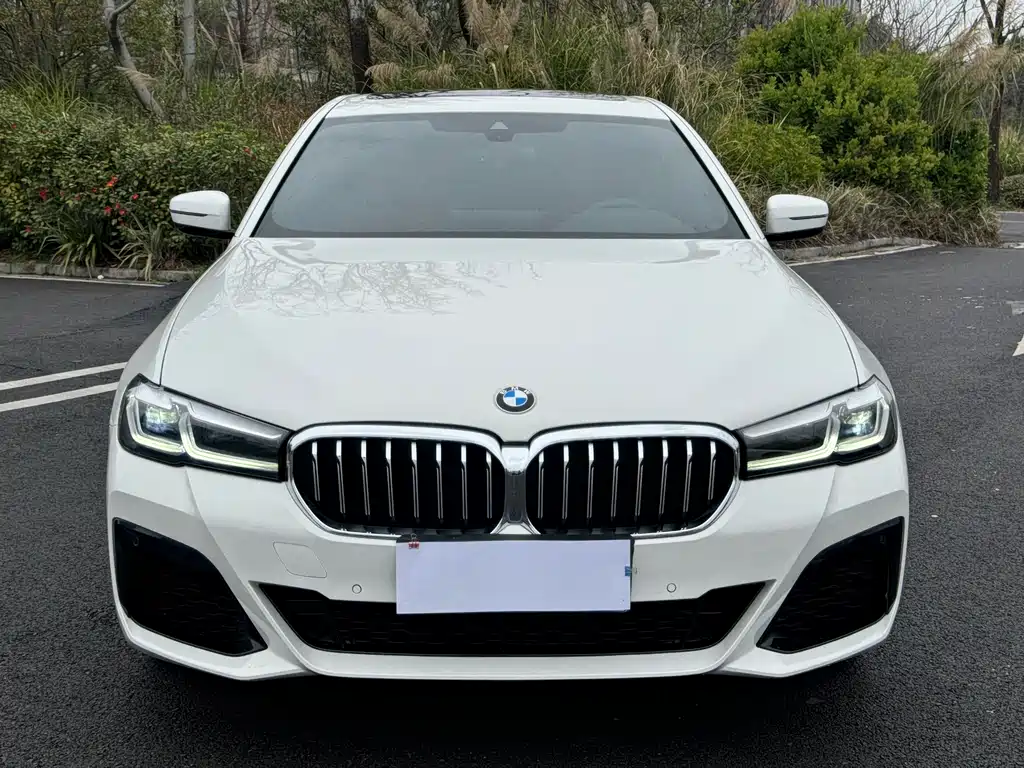 BMW BMW 5 Series Import 2021 Model 530i M Sport Package 2021 - thumbnail 2