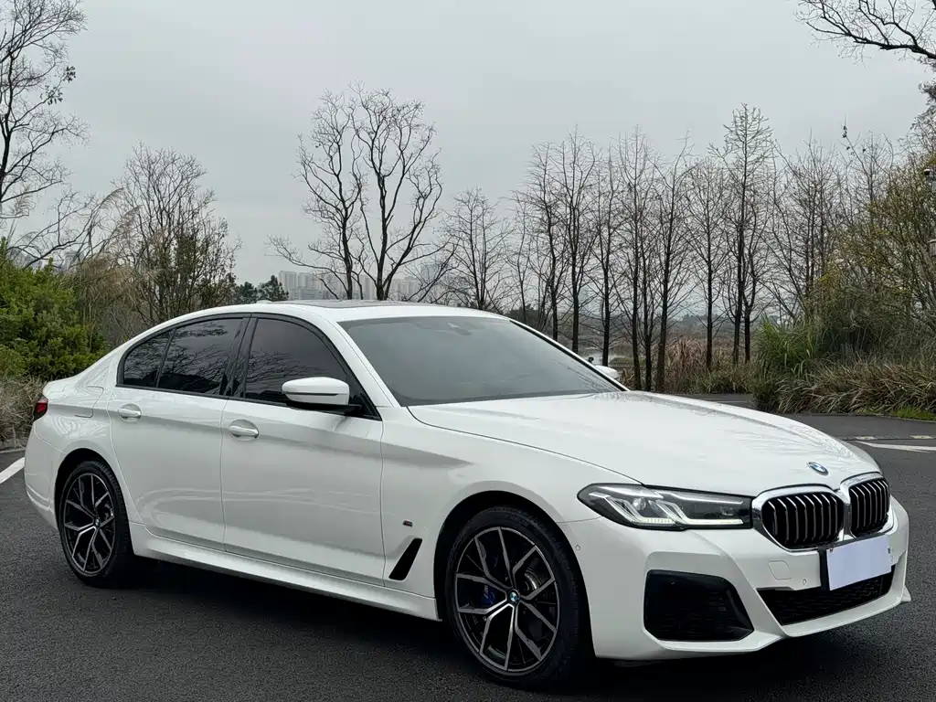 BMW BMW 5 Series Import 2021 Model 530i M Sport Package 2021 - thumbnail 3