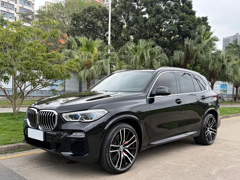 BMW BMW X5 (Imported) 2019 xDrive30i M Sport Package 2019