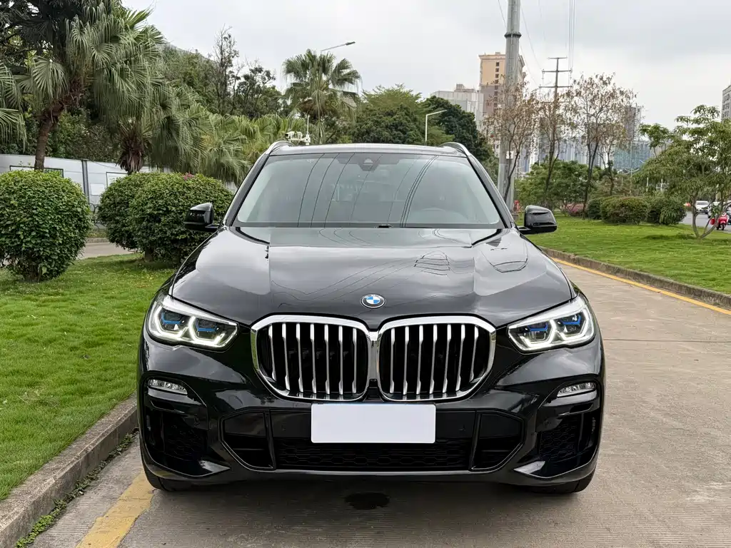 BMW BMW X5 (Imported) 2019 xDrive30i M Sport Package 2019 - thumbnail 2