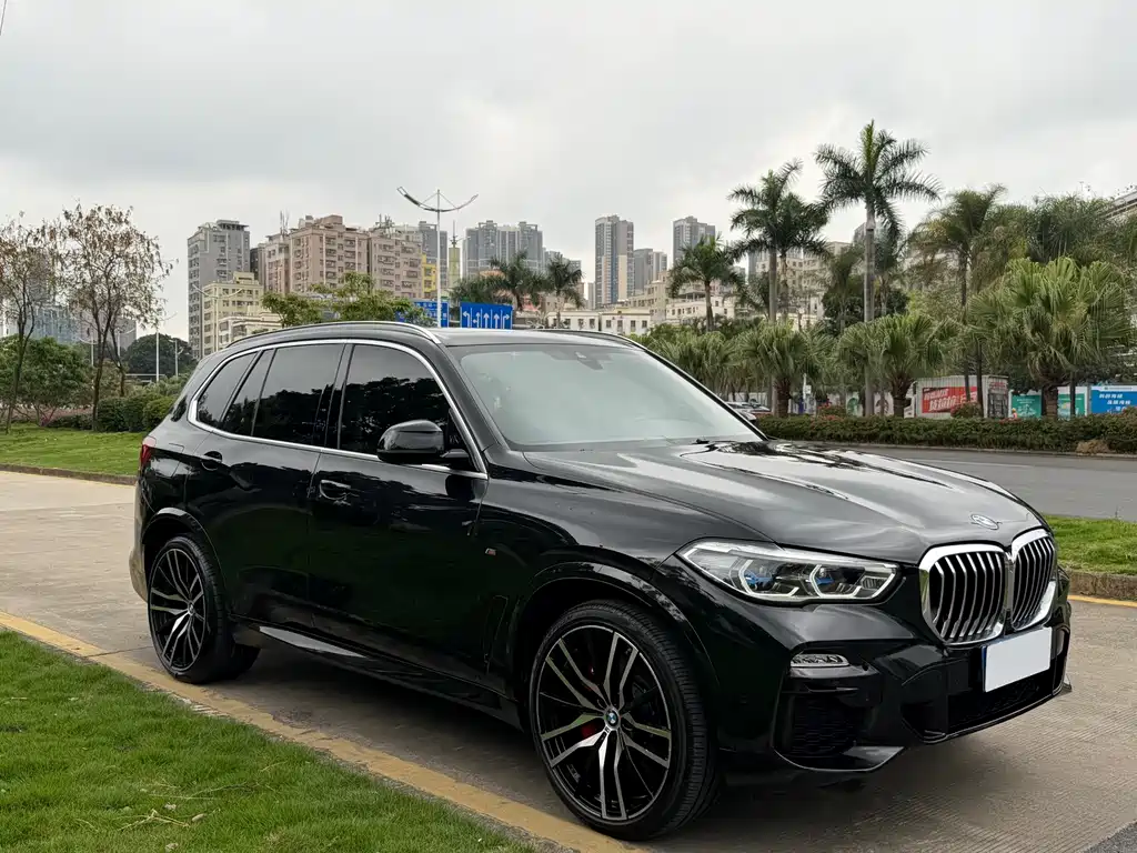 BMW BMW X5 (Imported) 2019 xDrive30i M Sport Package 2019 - thumbnail 3