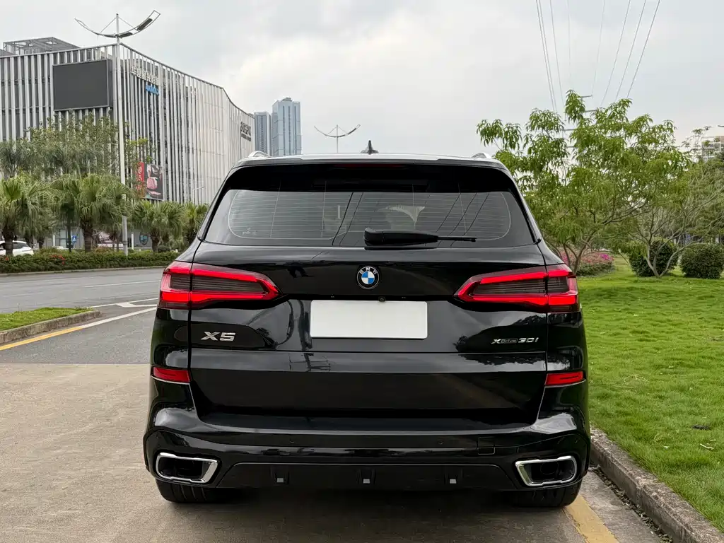 BMW BMW X5 (Imported) 2019 xDrive30i M Sport Package 2019 - thumbnail 5