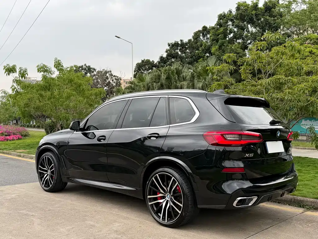 BMW BMW X5 (Imported) 2019 xDrive30i M Sport Package 2019 - thumbnail 6
