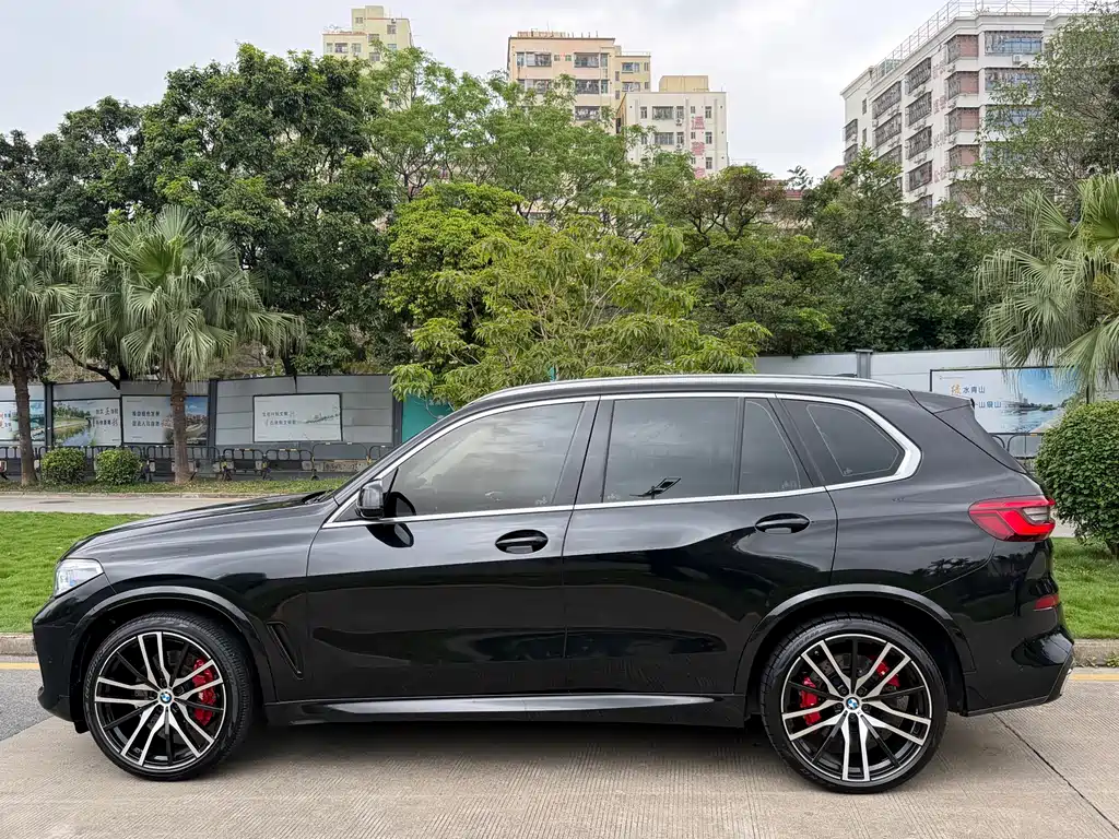 BMW BMW X5 (Imported) 2019 xDrive30i M Sport Package 2019 - thumbnail 7