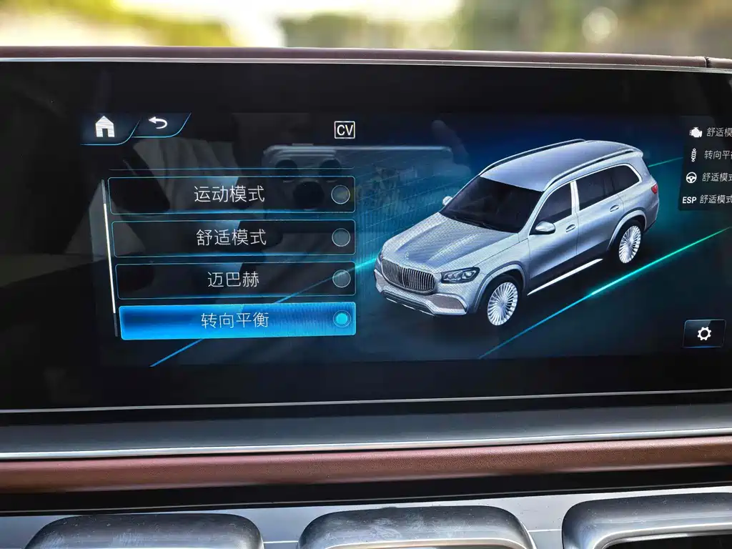 Mercedes-Benz Mercedes-Maybach GLS 2021 GLS 600 4MATIC Landaulet 2022 - thumbnail 14