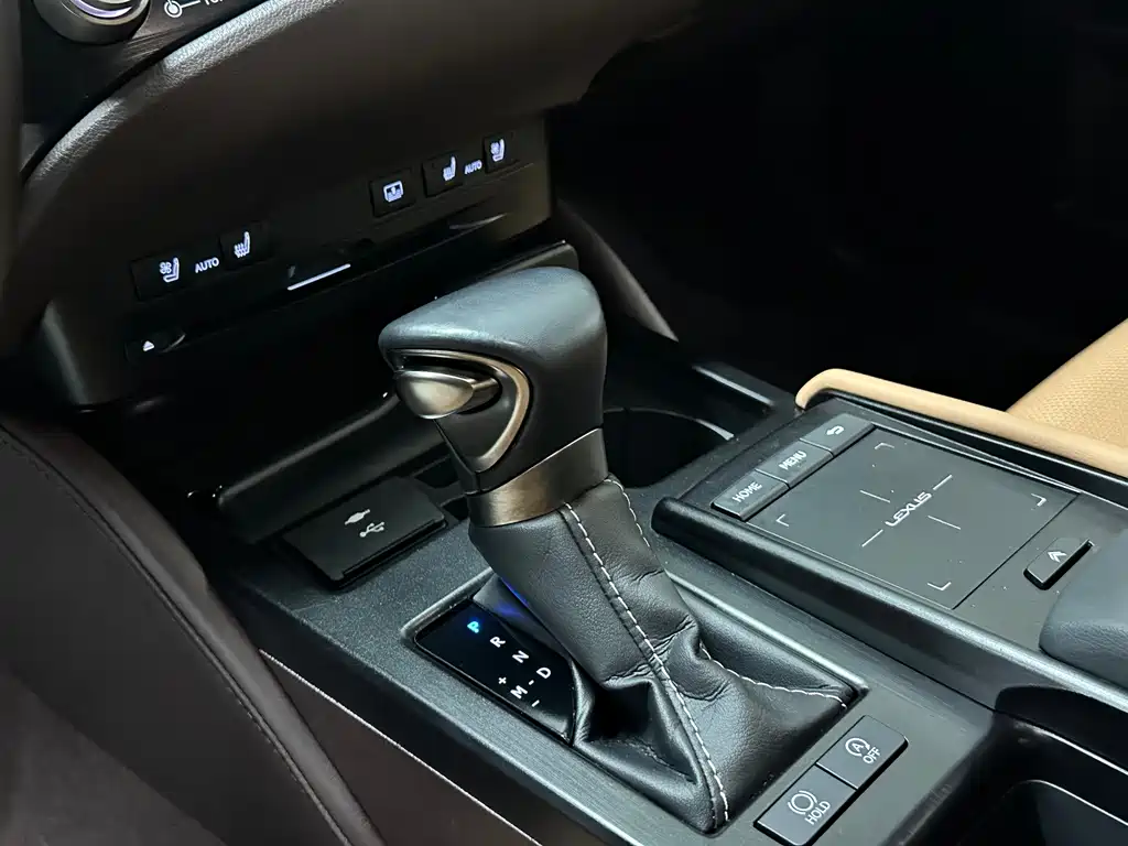 Lexus Lexus ES 2020 200 Luxury Edition 2021 - thumbnail 10