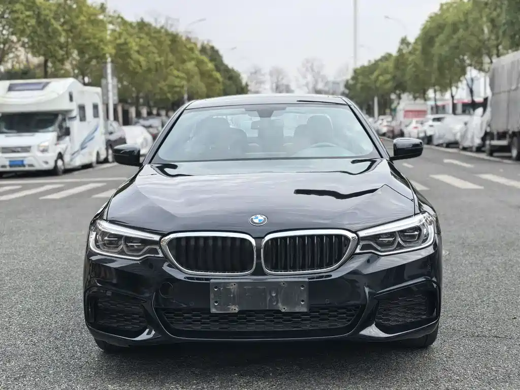 BMW BMW 5 Series 2020 530Li xDrive M Sport Package 2019 - thumbnail 2