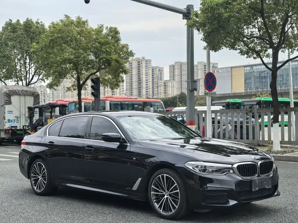 BMW BMW 5 Series 2020 530Li xDrive M Sport Package 2019 - thumbnail 3