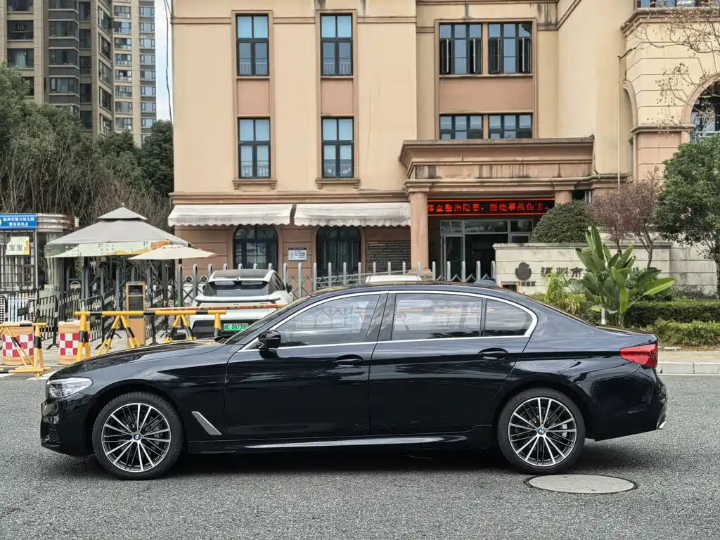BMW BMW 5 Series 2020 530Li xDrive M Sport Package 2019 - thumbnail 4