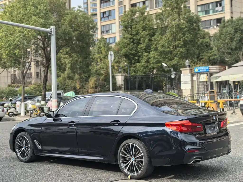 BMW BMW 5 Series 2020 530Li xDrive M Sport Package 2019 - thumbnail 5