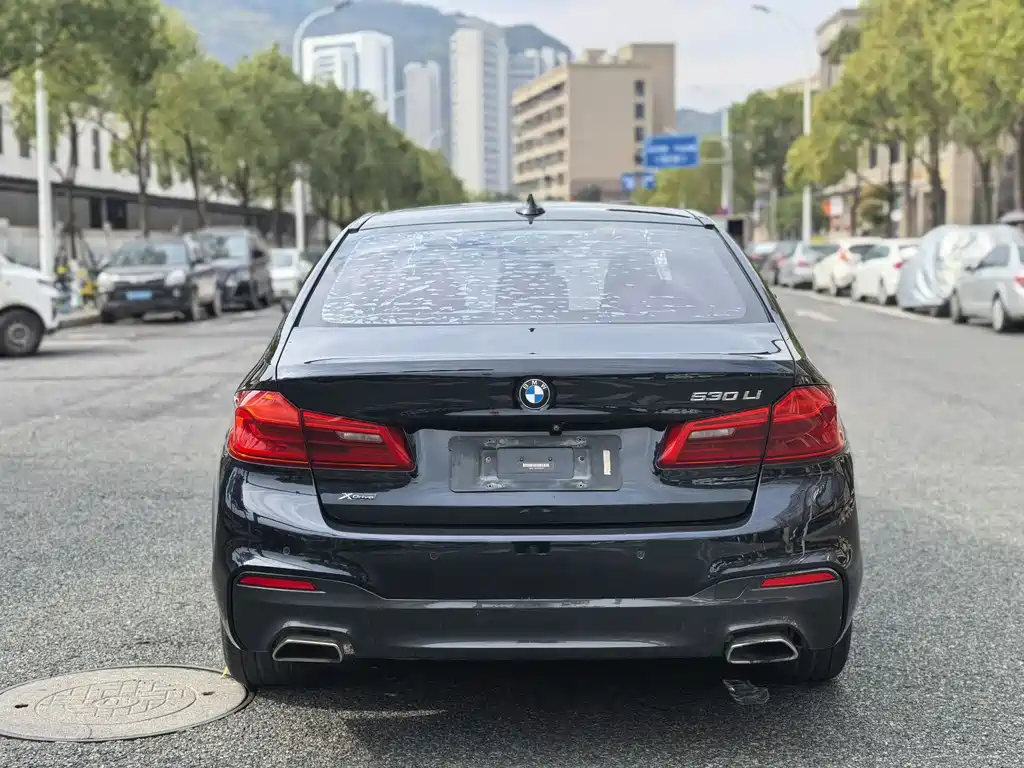 BMW BMW 5 Series 2020 530Li xDrive M Sport Package 2019 - thumbnail 6