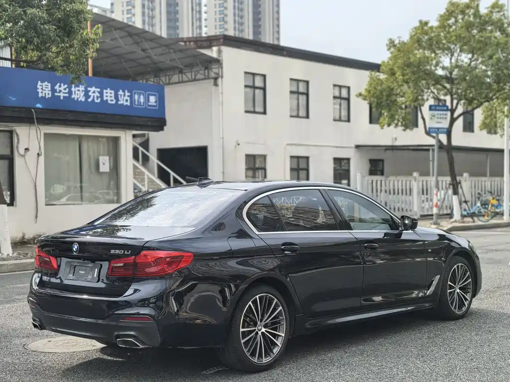 BMW BMW 5 Series 2020 530Li xDrive M Sport Package 2019 - thumbnail 7
