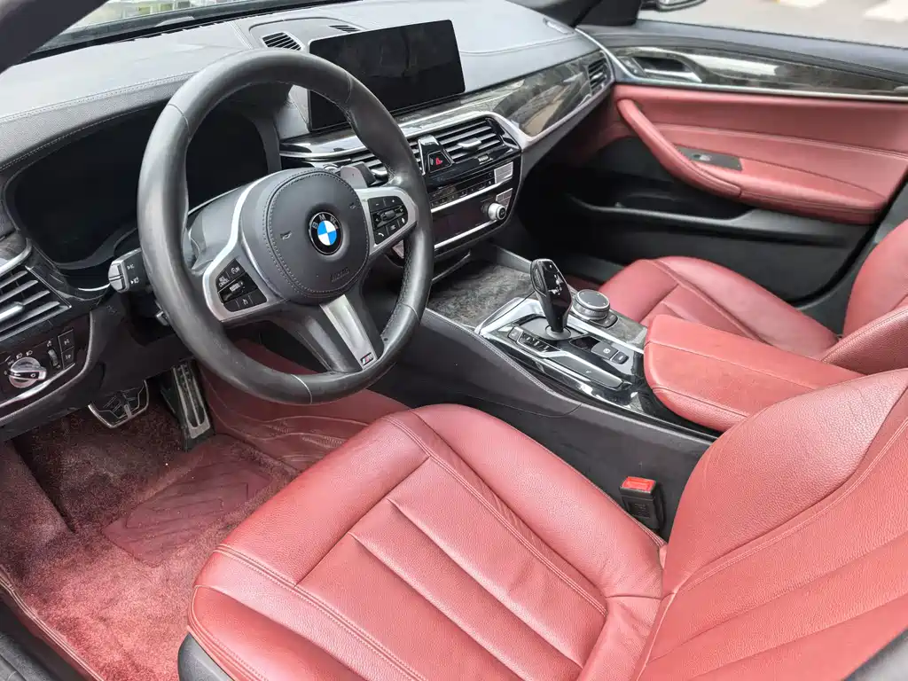 BMW BMW 5 Series 2020 530Li xDrive M Sport Package 2019 - thumbnail 10