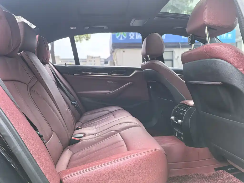 BMW BMW 5 Series 2020 530Li xDrive M Sport Package 2019 - thumbnail 17