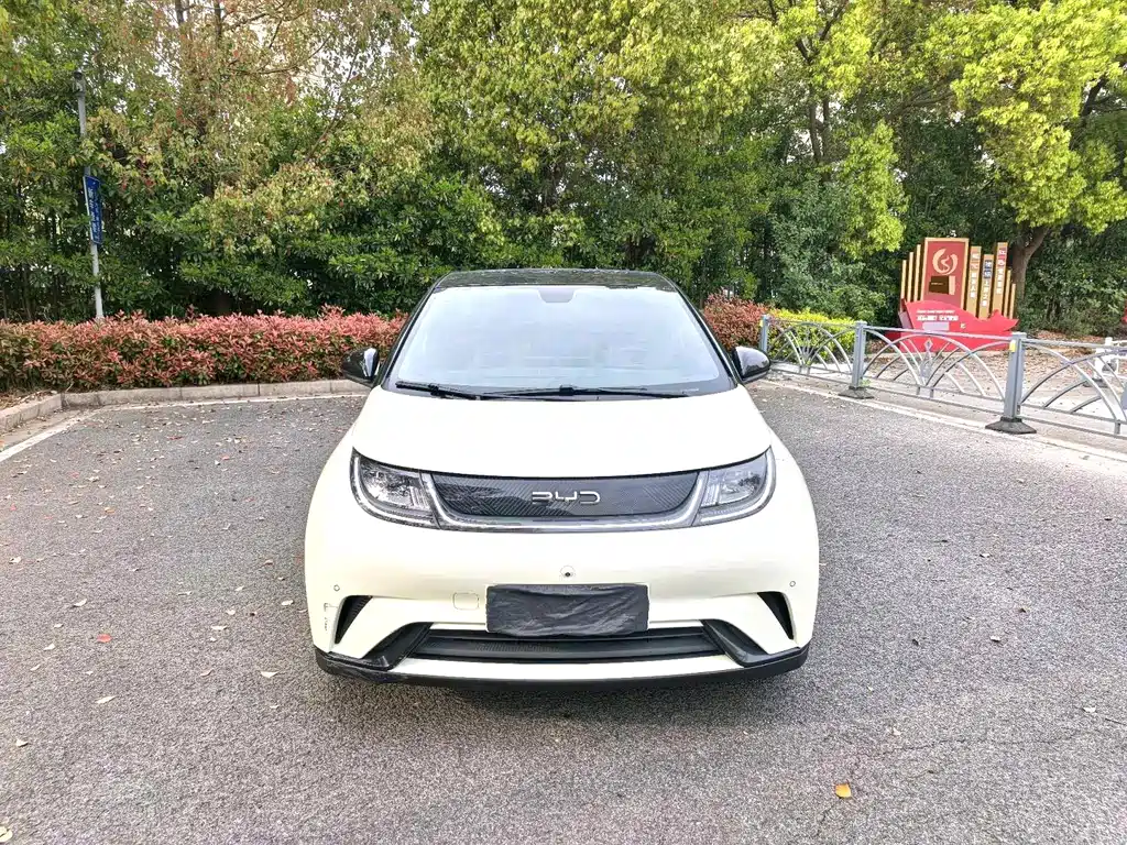 BYD Dolphin 2025 Model 420km Fashion Edition 2024 - thumbnail 2
