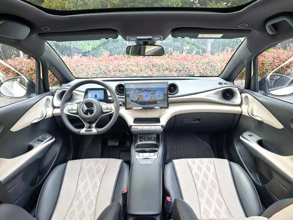 BYD Dolphin 2025 Model 420km Fashion Edition 2024 - thumbnail 3