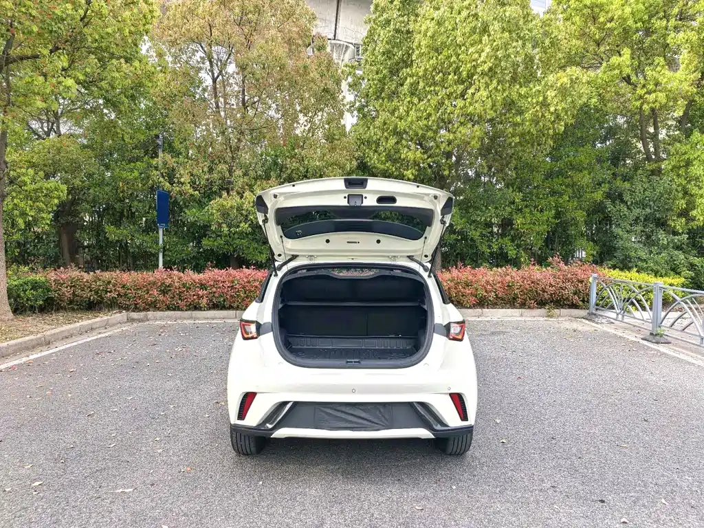 BYD Dolphin 2025 Model 420km Fashion Edition 2024 - thumbnail 6