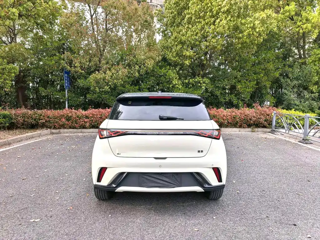 BYD Dolphin 2025 Model 420km Fashion Edition 2024 - thumbnail 7