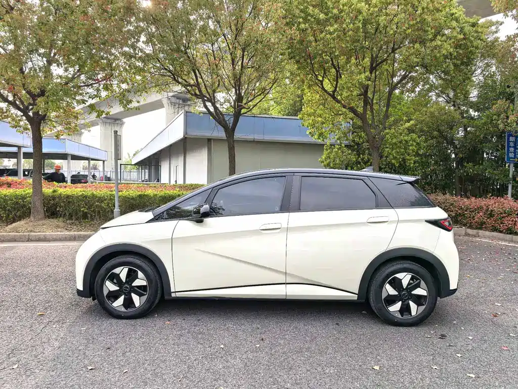 BYD Dolphin 2025 Model 420km Fashion Edition 2024 - thumbnail 8