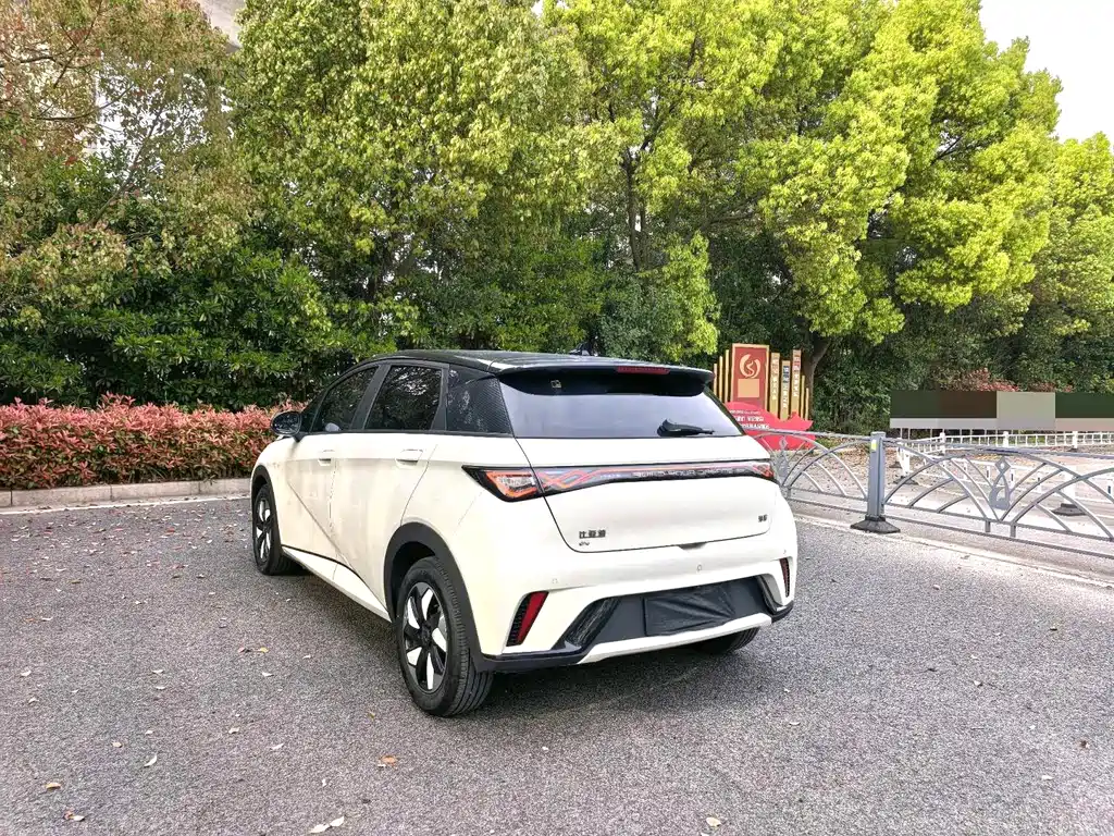 BYD Dolphin 2025 Model 420km Fashion Edition 2024 - thumbnail 9