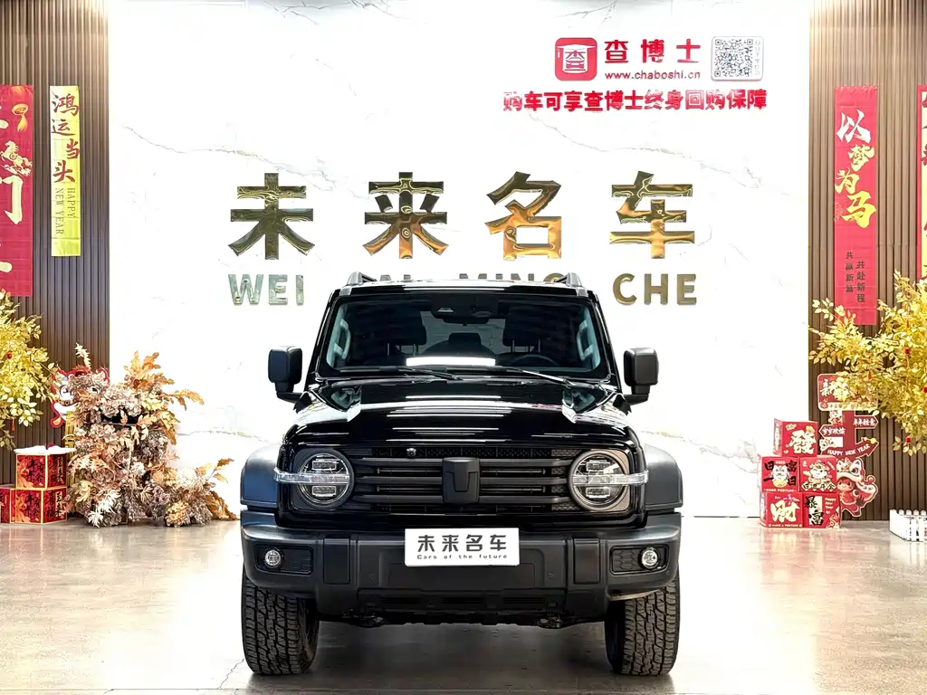 Tank Tank 300 2021 Model Off-road Version 2.0T Conqueror 2022 - thumbnail 2