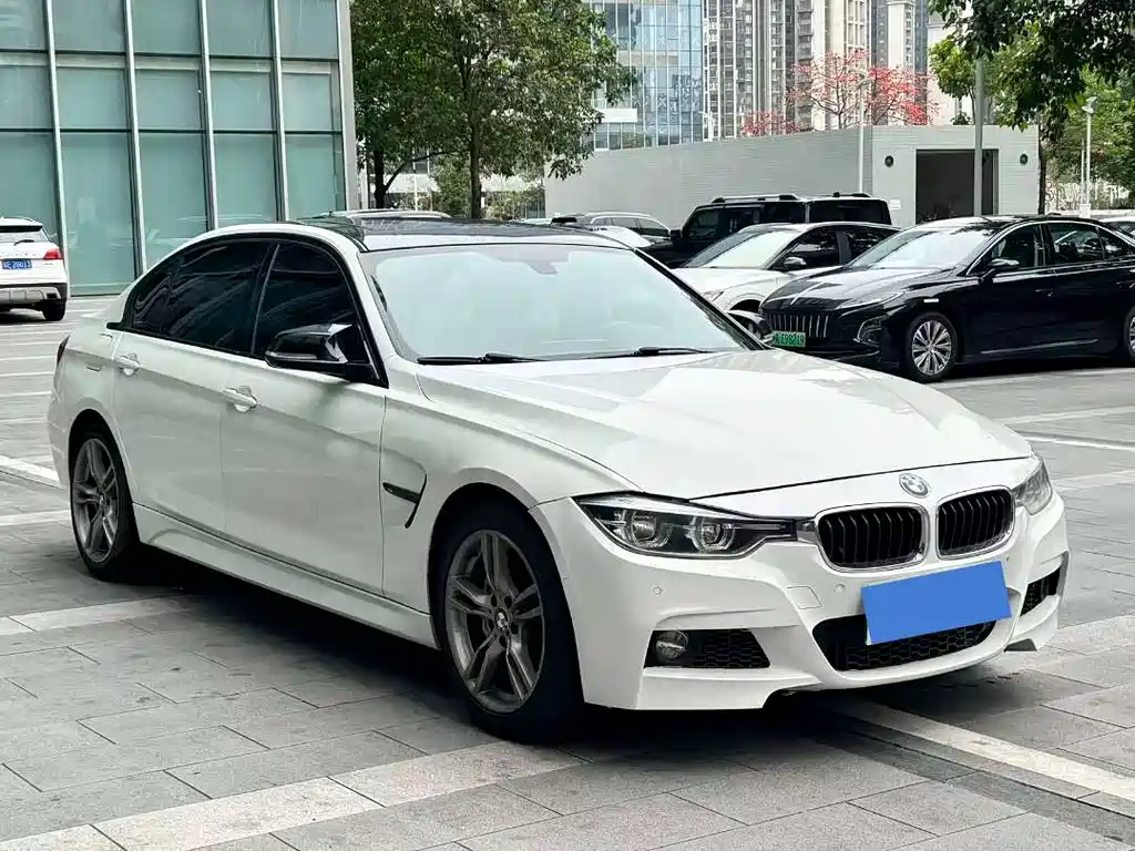 BMW BMW 3 Series 2019 320Li M Sport Shadow Edition 2018 - thumbnail 3