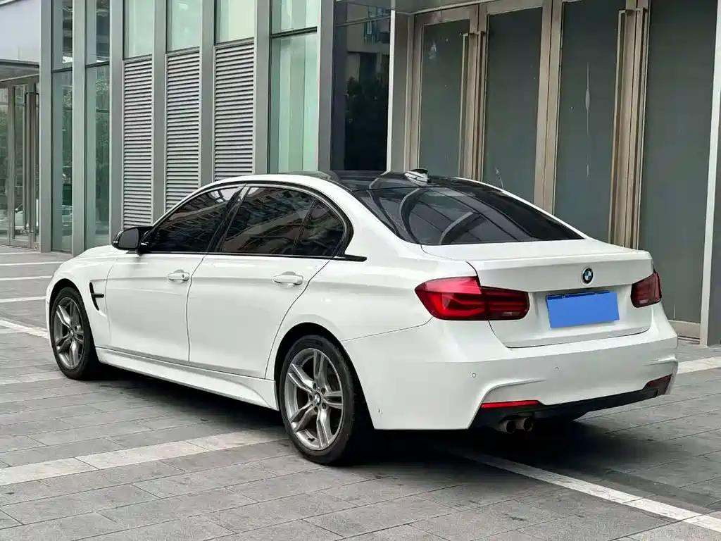 BMW BMW 3 Series 2019 320Li M Sport Shadow Edition 2018 - thumbnail 5