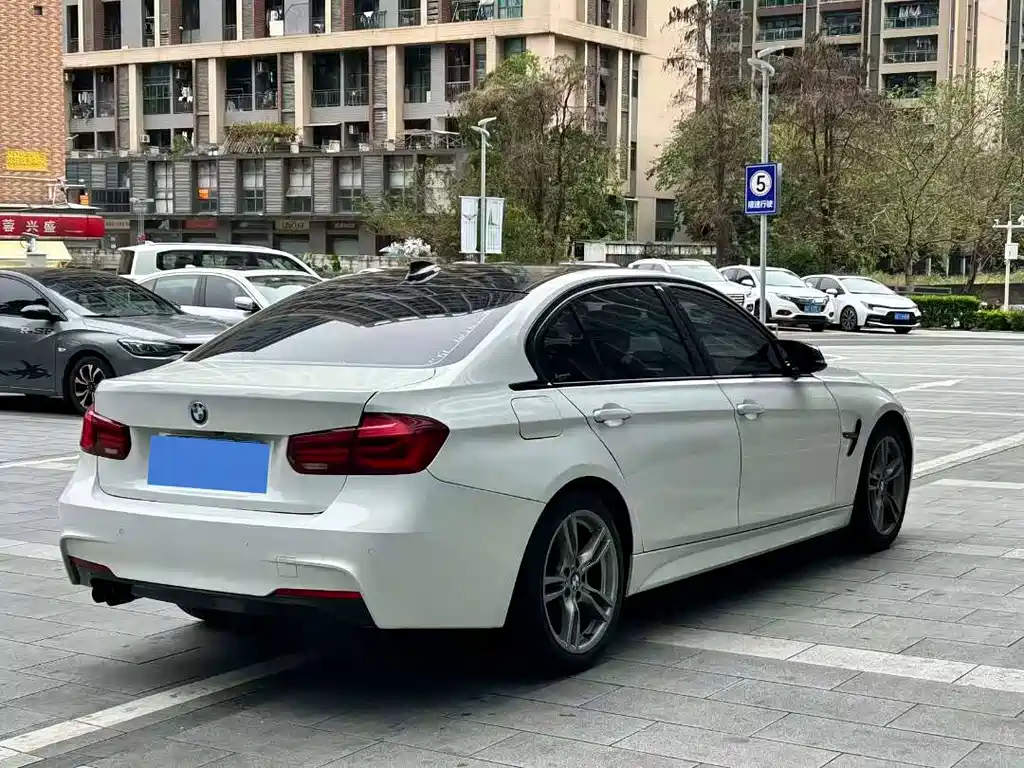BMW BMW 3 Series 2019 320Li M Sport Shadow Edition 2018 - thumbnail 6