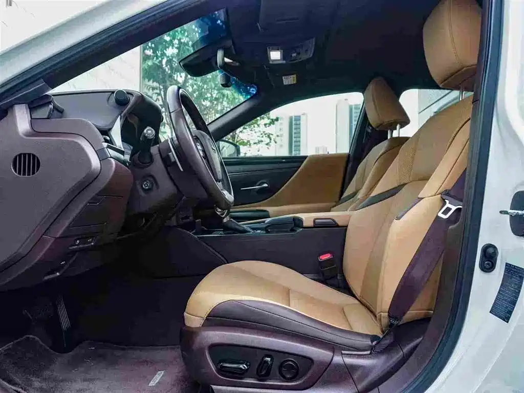 Lexus Lexus ES 2020 200 Excellent Edition 2021 - thumbnail 10