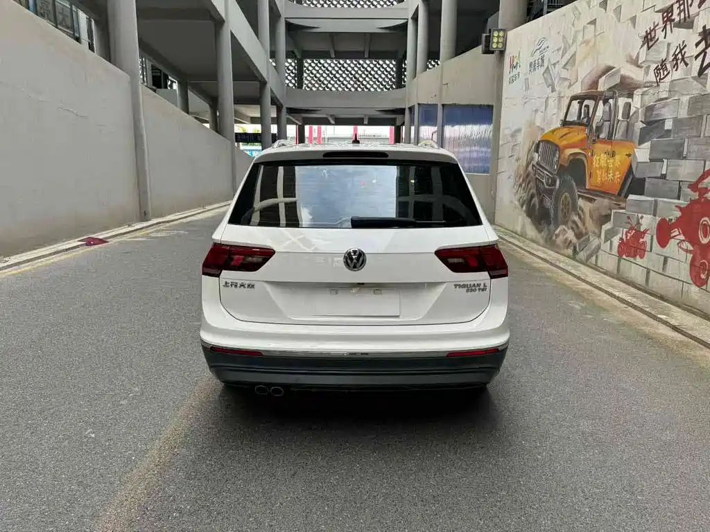Volkswagen Volkswagen Tiguan L 2018 330TSI Automatic 2WD Luxury Edition 2019 - thumbnail 6