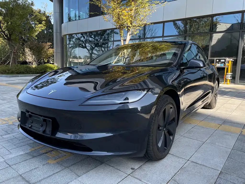 Tesla Model 3 2025 Rear-Wheel Drive 2025