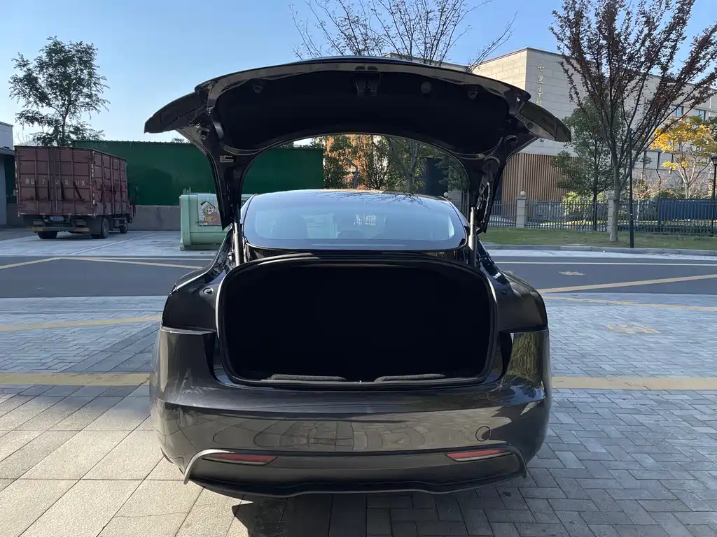Tesla Model 3 2025 Rear-Wheel Drive 2025 - thumbnail 7
