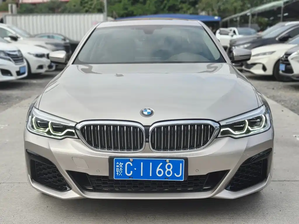 BMW BMW 5 Series 2020 530Li M Sport Luxury Package 2020